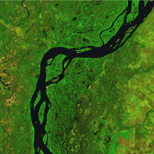 Forest_river